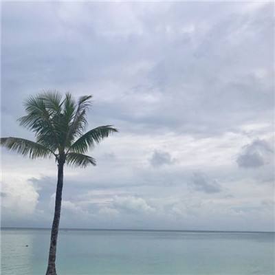 热血红名村手游变态版下载